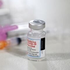 Vacuna contra Ómicron: para cuándo estará preparada según Moderna y cuándo podrá recibirla México