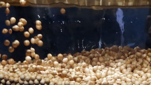 Si ganas la Lotería de Navidad debes evitar el sudden wealth syndrome: puede causar pánico, aislamiento y sentimiento de culpa