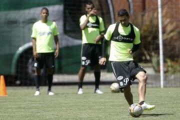 Intensidad y trabajo en el entrenamiento verdolaga