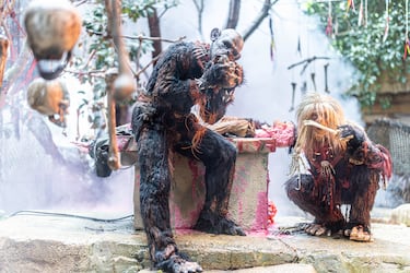 Halloween: programacin en la Warner, Parque de Atracciones Madrid, PortAventura y Disneyland Pars