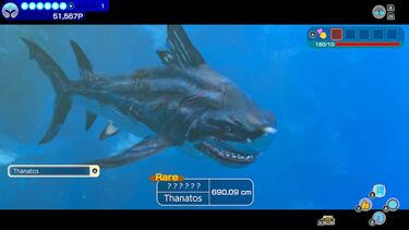 Endless Ocean Luminous: para sacar a tu biólogo marino interno