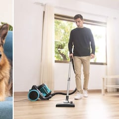 Así es el mejor aspirador de trineo para eliminar el pelo de tu mascota