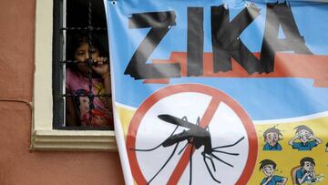 El virus del zika, preocupaci&oacute;n en los Juegos de R&iacute;o. 