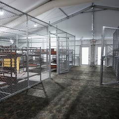 El 95% de los inmigrantes detenidos en Alligator Alcatraz son latinos