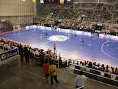 Granada será la sede de la Copa de España de Fútbol Sala 2026