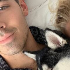 Joe Jonas y Sophie Turner se tatuaron a su perro, Waldo