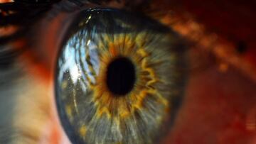 Ojos impresos en 3D, nueva cura contra la ceguera