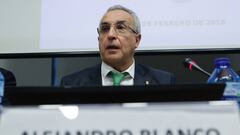 El COE y las federaciones piden más protagonismo a los partidos políticos en la Ley del Deporte