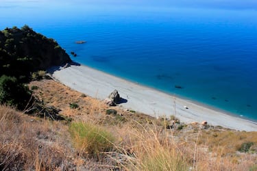Situada entre la Playa de las Alberquillas y la Torre del Pino, en pleno corazón del Parque Natural de los Acantilados de Maro, la playa de la Cala del Pino está compuesta por dos calas arenosas divididas por el desprendimiento de rocas. Ubicada en una zona protegida, esta playa virgen de aguas cristalinas es perfecta para la práctica de snorkel o buceo. Gracias al difícil acceso, la playa tiene un grado de ocupación bajo incluso en verano, lo que la hace perfecta para aquellos que buscan tranquilidad alejados del bullicio de las grandes ciudades. Se trata de una playa que está rodeada de pinos y tuneras, el recorrido hasta la playa va por un camino empinado de aproximadamente 1 kilómetros pero, sin ninguna duda, merece la pena.