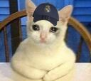 Los mejores memes deL
B. MGladbach-Real Madrid