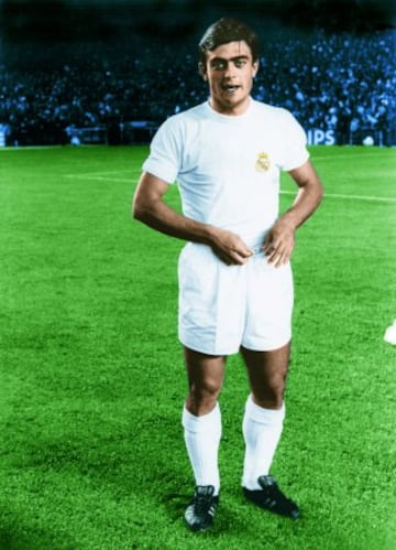 Jugó tres temporadas con el Real Madrid 69/70, 70//71 y 73/74. Con el Valencia jugó dos temporadas 74/75 y 75/76