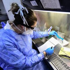 Sanidad ordena hacer la PCR en las primeras 24 horas a cualquier sospechoso de coronavirus