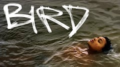 Crítica de ‘Bird, otra joya del cine social británico