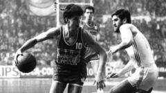 Petrovic: el Genio de Sibenik