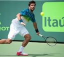 Verdasco ganó a Berlocq y jugará ante Baghdatis