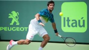 El tenista espa&ntilde;ol Fernando Verdasco