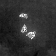 Drones equipados con cámaras térmicas localizan a tres esquiadores desaparecidos