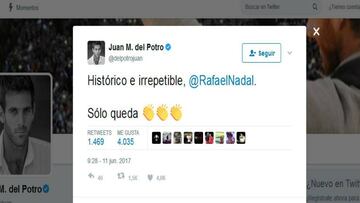 Del Potro se rinde a Rafa Nadal