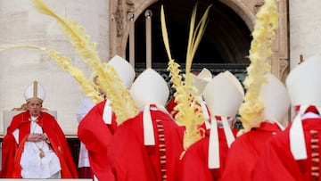 For the first time, the Pope did not deliver the homily during the Palm Sunday Mass, which marks the beginning of Holy Week.