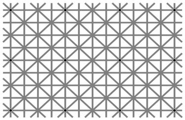 Los doce puntos que enloquecen Internet ¿cuántos ves en la imagen?