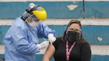 Campa&ntilde;a de vacunaci&oacute;n contra la gripe en Per&uacute;, en el marco de la crisis sanitaria provocada por la COVID-19.