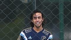 "Valdivia debe congeniar interés de Palmeiras y su Selección"