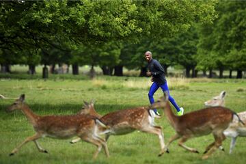 Poco a poco, los deportistas de alto nivel comienzan a recuperar la normalidad durante la desescalada. En la imagen, el corredor de fondo británico de origen somalí, Mo Farah, medallista olímpico y campeón del mundo y de Europa en 5.000 y 10.000 metros, se entrena entre los ciervos de Richmond Park, en Londres.