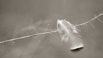 Un juego que marca serias diferencias