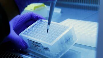 A laboratory worker works on fast PCR testing samples in a mobile laboratory truck, amid the coronavirus disease (COVID-19) outbreak, in Soelden, Austria, October 15, 2020. REUTERS/Leonhard Foeger