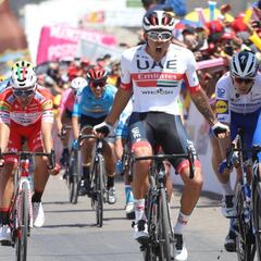 Team Molano, la dinastía de los embaladores