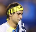 Ferrer: "No tuve ninguna posibilidad de ganar a Djokovic"