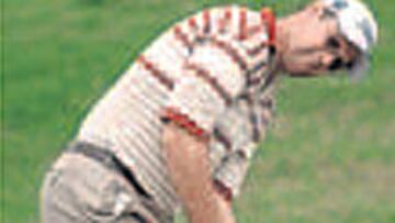 El inglés Stuart Little.