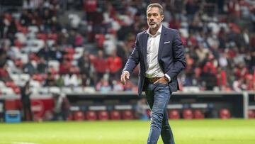 Gustavo Matosas, nuevo presidente del Club Tiburón