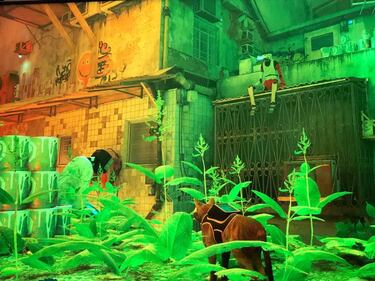 ¿Cómo conseguir el poncho, el cable y el detergente en Stray y dónde usarlos?