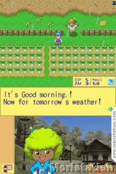Harvest Moon DS. Impresiones