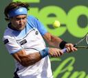 Ferrer se planta en cuartos tras levantar un set a Melzer