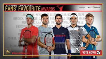 Juan Mart&iacute;n del Potro, Grigor Dimitrov, Novak Djokovic, Roger Federer y David Goffin son algunos de los aspirantes al t&iacute;tulo a mejor tenista del a&ntilde;o para los aficionados.