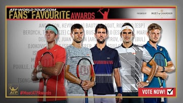 Juan Martín del Potro, Grigor Dimitrov, Novak Djokovic, Roger Federer y David Goffin son algunos de los aspirantes al título a mejor tenista del año para los aficionados.