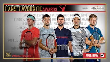 Juan Mart&iacute;n del Potro, Grigor Dimitrov, Novak Djokovic, Roger Federer y David Goffin son algunos de los aspirantes al t&iacute;tulo a mejor tenista del a&ntilde;o para los aficionados.