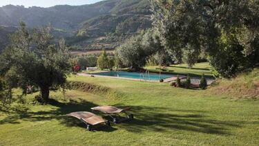 Hoteles que admiten mascotas: viaja con tu perro, gato...