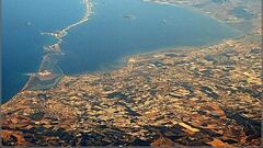 El posible aliado animal que ayudaría a regenerar las aguas del Mar Menor