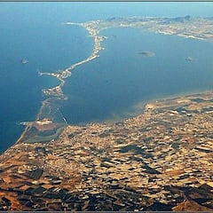 El posible aliado animal que ayudaría a regenerar las aguas del Mar Menor