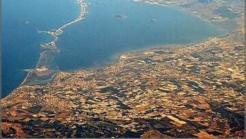 El posible aliado animal que ayudaría a regenerar las aguas del Mar Menor