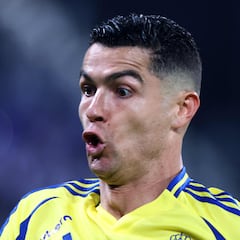El mercado será explotado