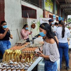 Ingreso Solidario: qué se sabe y qué podría pasar tras el giro 17
