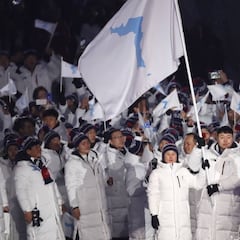 La Federación Internacional de Hockey quiere un equipo unificado de Corea en Tokio