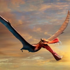 Encontrados los restos de un "temible" dinosaurio volador