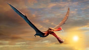 Encontrados los restos de un "temible" dinosaurio volador