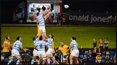 Se reprogramó el Rugby Championship: cuándo juegan Los Pumas en Australia