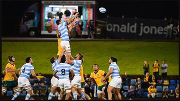 Se reprogramó el Rugby Championship: cuándo juegan Los Pumas en Australia